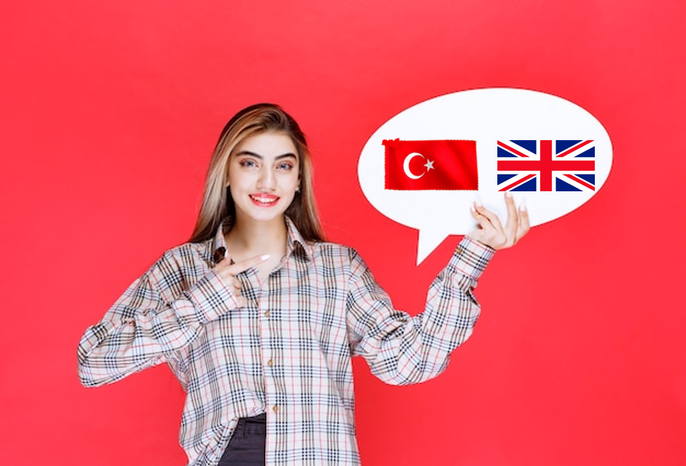 English to Turkish translation