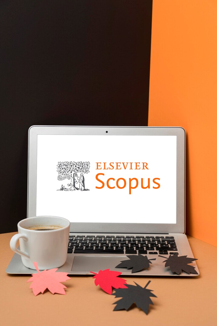 How much is Scopus Publication? | SITA Publication Support Services